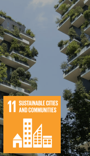 Sustainable Cities