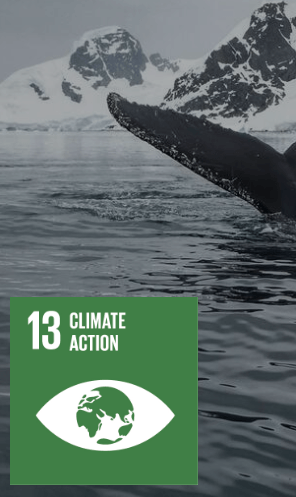 Climate Action
