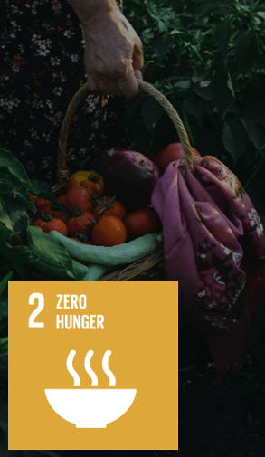 Zero Hunger